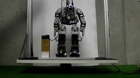 Self balancing Bioloid - Pitch and Roll variation