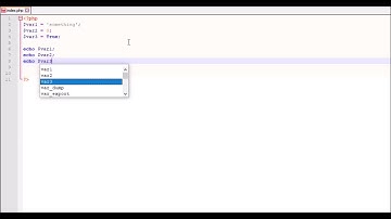 PHP basics - defining and displaying variables