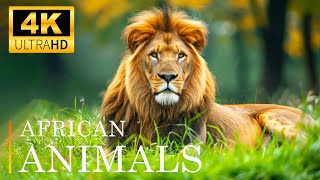 Magnificent Planet Wildlife 4K 🌿Melodic Wildlife Symphony Relaxing Piano Music and Animal Scenes