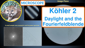 Daylight Köhler Illumination and the Fourierfeldblende