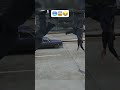 GTA 4 Most Insane Moment Ever 🤯 #gaming #shortsfeed #gta