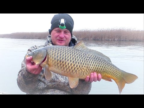 Рыбалка на сазана зимой. Уникальный случай на рыбалке и приключения после. На рыбалку с женой.