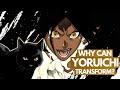 So, What&#39;s the Deal With YORUICHI&#39;S CAT FORMS? Kubo Talks, We Speculate! | Bleach Discussion