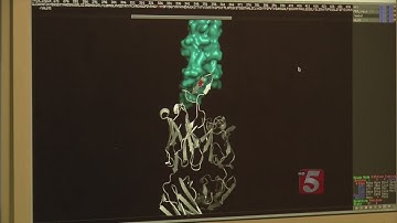 Computer Program Is One Step Closer To HIV Vaccine