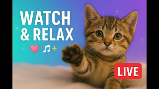 Relaxing Cat Stream | Calming Music to Melt Your Stress Away | Furry Facts | LIVE 24/7