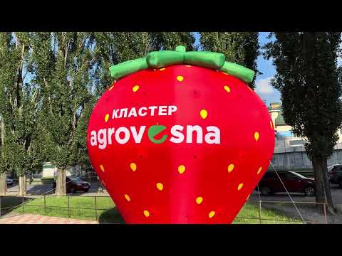 Надувная рекламная фигура для агрофирмы 5 м, красная клубника для наружной рекламы и аграрных мероприятий, видео 1