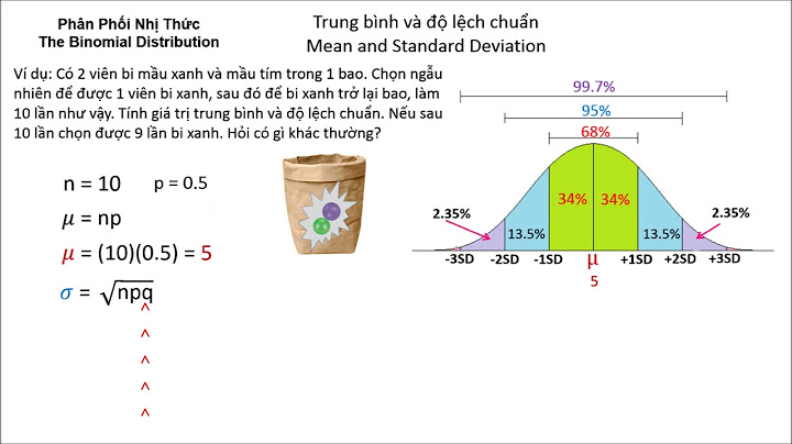 Có bao giờ độ lệch chuẩn lớn hơn trung bình năm 2024