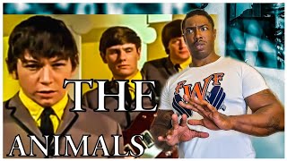 The Animals- 