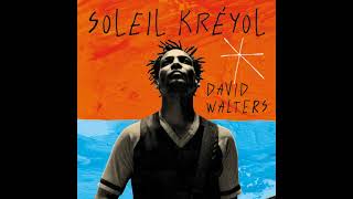 David Walters Featuring Seun Kuti – Bwé Dlo