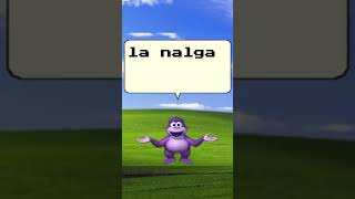 Bonzi quiere Tung #bonzibuddy #shorts