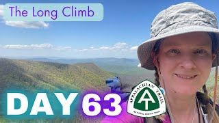 Stealth Campsite to Thunder Hill Shelter | Appalachian Trail Thru Hike Day 63