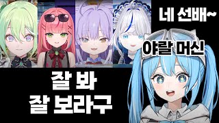 신입이 데뷔를 하면 파란머리(타비)가 야랄을 하러 온다는 얘기가 있다