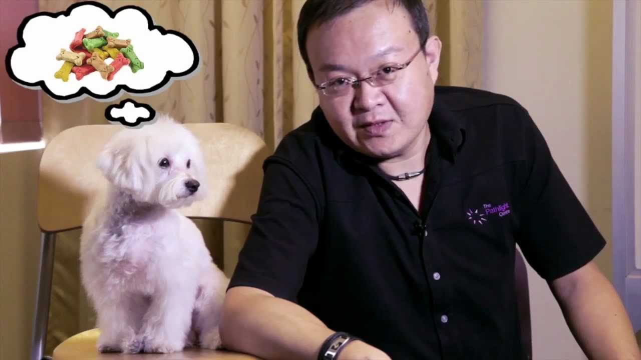 Scuffy The Pathlight Centre Mascot