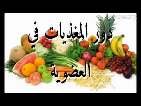 الدرس10  إستعمال المغذيات النشاط3 دور المغذيات العضوية  في الجسم دروس 4متوسط علوم
