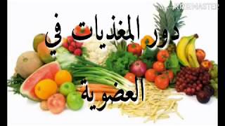 الدرس10  إستعمال المغذيات النشاط3 دور المغذيات العضوية  في الجسم دروس 4متوسط علوم