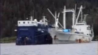 Valdez Oil Spill Workers