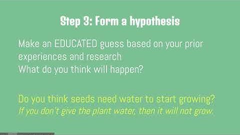 The Steps of the Scientific Method - Google Slides