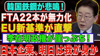 【悲報】韓国の最強カードが無力化…FTAを超えるEU新基準が鉄鋼業を直撃！日本への警告とは