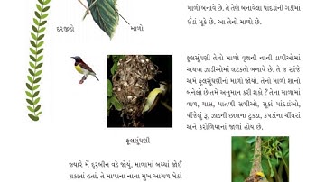 GSEB/STD 4/SUB. AASPAS /GUJ.MEDIUM/CHEP 16. KAMNO MAHINO