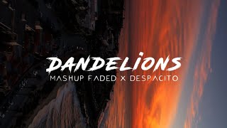 Mashup Slow Beat - Dandelions X Faded X Despacito (   Quotes )