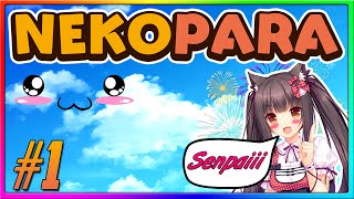 EVERY MAN'S DREAM! (Nekopara Vol. 1 Gameplay Episode 1)