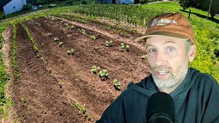 Compost Over the Cover Crops + Watermelons (With or Without Seeds)
Welcome to episode 411 of Growers Daily!
We cover: watermelons and covering cover crops in compost coverings.
We are a Non-Profit! π
π DONATE π https://www.paypal.com/donate/?hosted_button_id=ALF4MZX26SVSQ
https://app.candid.org/profile/16047666
Links for today:
the $400 melon episode: https://youtu.be/JEplhbKi7mY
Johnnys Seedless Watermelon Guide: https://www.johnnyseeds.com/growers-library/vegetables/watermelons/watermelon-triploid-seedless-production.html
MUSIC from this episode:
Cavalier by Kylie Dailey
Back to Blue by Victor Lundberg
via www.epidemicsound.com
Support our work (π) at https://www.notillgrowers.com/support
or https://www.Patreon.com/notillgrowers
Show Sponsors:
BCS Tractors: https://www.bcsamerica.com/
GrownBy: coop.grownby.com/notill
Good Agriculture: https://goodagriculture.com/
Tilth Soil!: https://www.tilthsoil.com/?srsltid=AfmBOorYMGkYzMqYdJ8KDqTdMFUg5tw3lx_OSMBZPP6phSXpFhBIyUkT
MY BOOK!
The Living Soil Handbook π π https://www.notillgrowers.com/livingsoilhandbook
French copy of The Living Soil Handbook: https://amzn.to/4h2bYot
Italian Copy https://www.terranuovalibri.it/libro/dettaglio/jesse-frost/il-manuale-del-suolo-vivente-9788866819967-236828.html
German Copy: https://www.oekom.de/buch/das-grosse-boden-handbuch-9783987261374
Other stuff and ways to support stuff like this π
5% off Neptunes Harvest Fish Fertilizers and More (offer Code: NOTILL)
π: https://store.turbify.com/cgi-bin/clink?yhst-20803342241356+tt4W2F+shop.html+NOTILLπ¨
ORDER Dan Brisebois Seed Book! π https://www.notillgrowers.com/livingsoilhandbook
The Living Soil Handbook π π https://www.notillgrowers.com/livingsoilhandbook
Hats π§’ π https://www.notillgrowers.com/livingsoilhandbook
Forum π¬ π https://notillgrowers.community.chat
Music π΅ π via www.empidemicsound.com
π MERCH π https://www.notillgrowers.com/livingsoilhandbook
Support our work (π) at www.notillgrowers.com/support or www.Patreon.com/notillgrowers
freelance sound editor: www.sellassoundworks.com Compost Over the Cover Crops + Watermelons (With or Without Seeds)