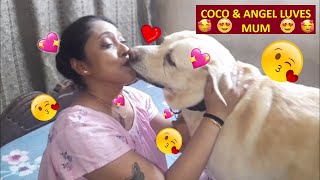 COCO & ANGEL GETS ANGRY ON MUM | WE MET WITH OUR FANS & SUBCRIBERS UNEXPECTEDLY | ENJOY THE VIDEO