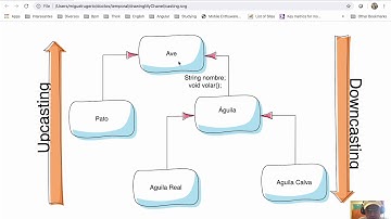 12. Downcasting and Upcasting (Primera Parte)