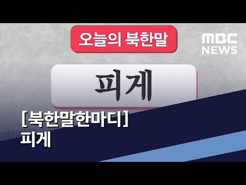 [북한말한마디] 피게  / MBC 통일전망대 (2020년 2월 8일)
