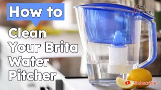 Pure and Refreshing: How to Clean Your Brita Water Pitcher for Optimal Water Quality | Best choices How To Clean A Brita Water Filter Pitcher Tutorial