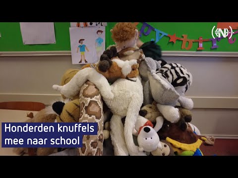 Video: Wedstrijden Houden Op School