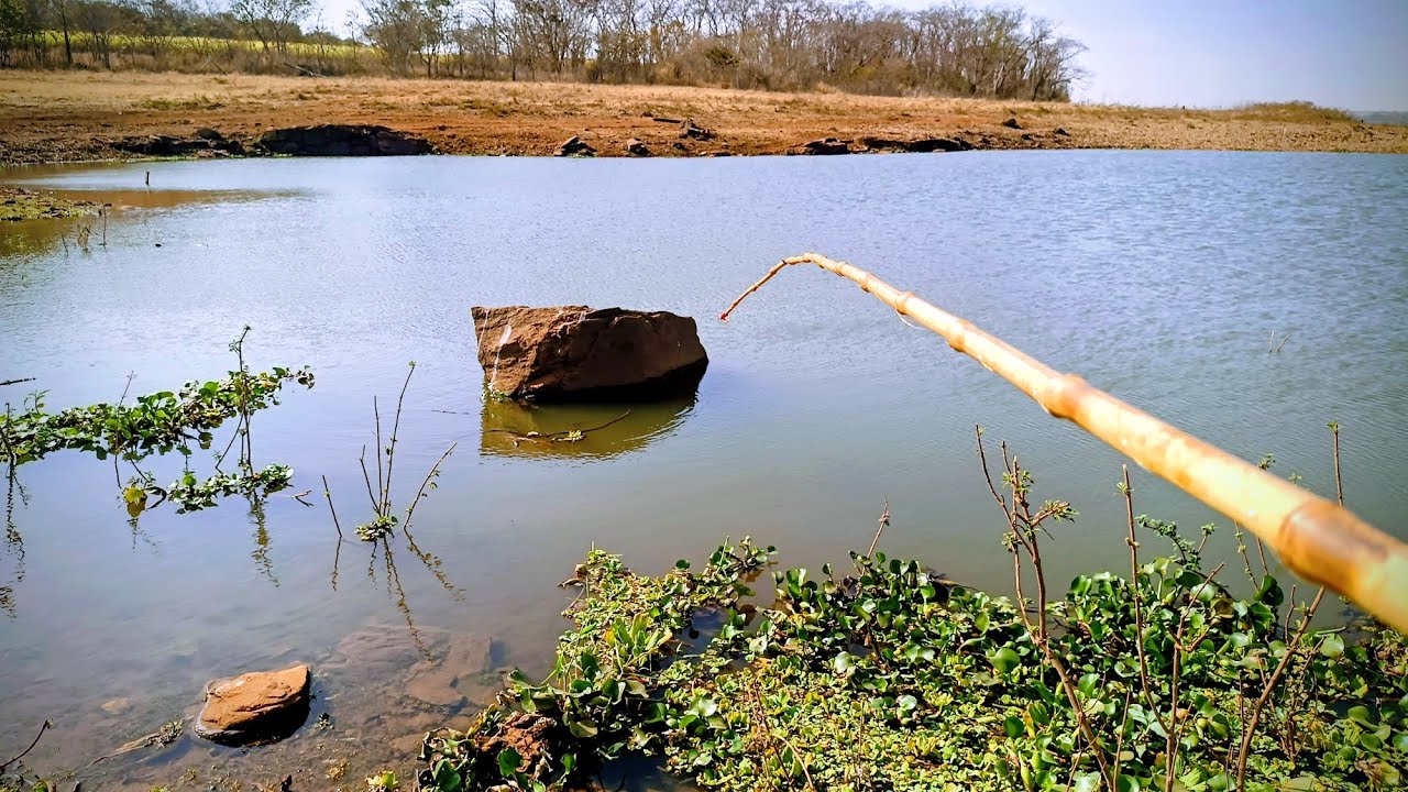 BRIGA DE GIGANTES!!! Pescaria raiz Rio turvo Cardoso SP..