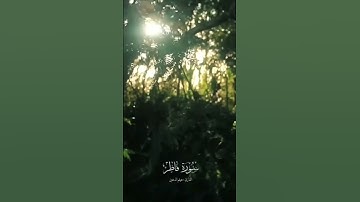 سورة فاطر هيثم الدخين #سورة #فاطر #quran #ترند #حالات #تلاوة #قرآن #explore #تلاوات #تلاوة_خاشعة