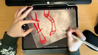 How I draw digitigrade dragon paws