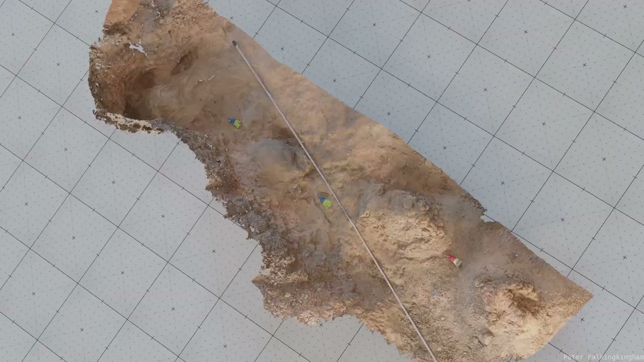 T. rex Trackway- A Deeper Look