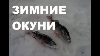147 Зимние Окуни  На Блесну И  Безмотылку//Volga. Fishing Bass