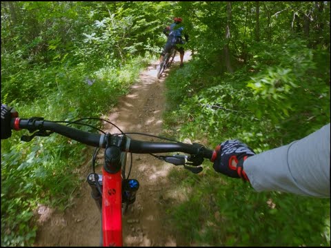 კოჯორიდან დაშვება თბილისში ველოსიპედით ზაფხულში.