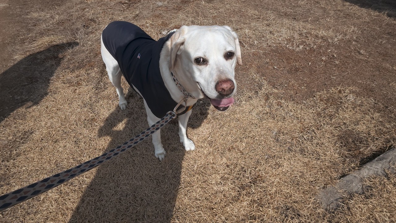 공이공이산책log