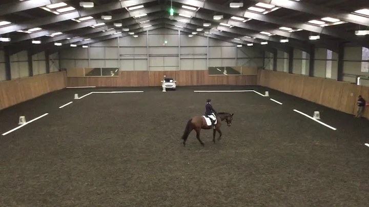 Ruth Snowden riding Majestic Lord