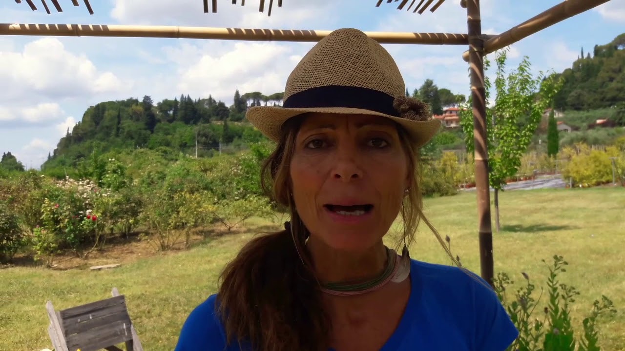 5 segreti per ottenere delle belle piante partendo dalla semina