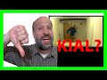 Plej malŝatata filmeto de 2019 - Kial? [en Esperanto]
