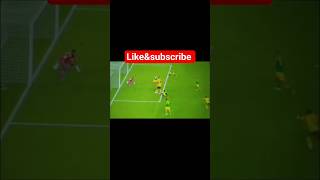 Live Kaizer Chiefs Vs Goldern Arrows Live Match Today