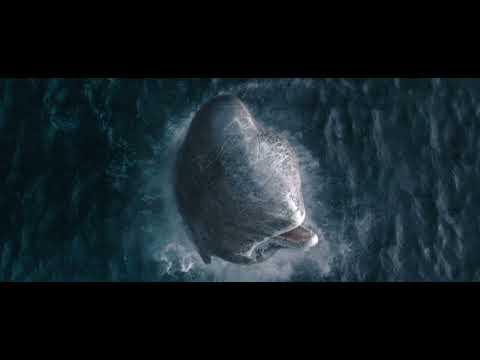 Whalefall | Get Tickets Now | In Theaters October 16 - Whalefall | Get Tickets Now | In Theaters October 16