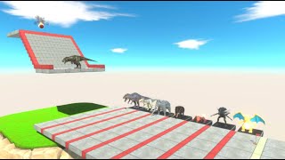 Race and fight between animals !!! screenshot 3