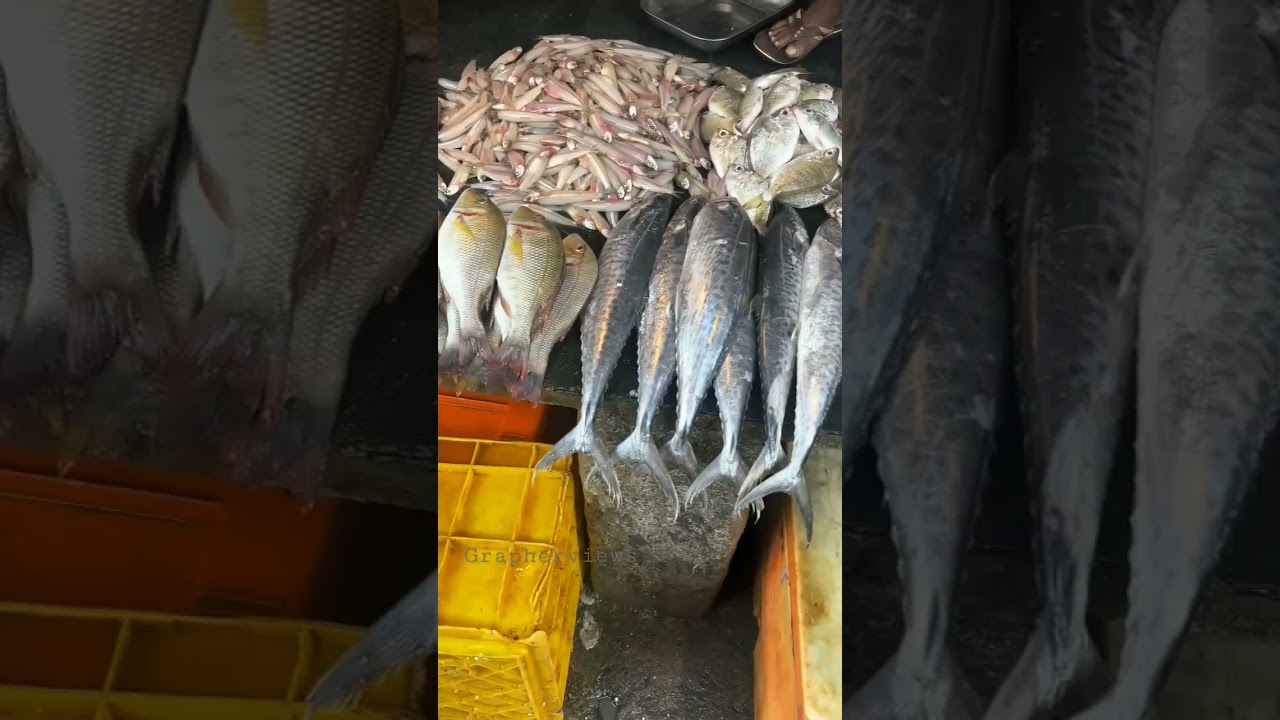 Saidapet Market 24/7 