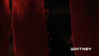 MK Guth: 2008 Whitney Biennial - Whitney Museum