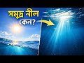 সমুদ্র নীল কেন? 🌊 সত্যটা জানলে অবাক হবেন!