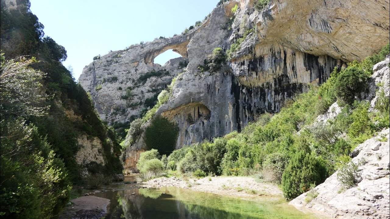 Circular Mascun inferior