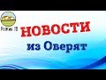 НОВОСТИ 📺 ИЗ ОВЕРЯТ🏡, ЧТО СО СВИНОМАТКОЙ🐖⁉️