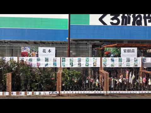 マーケットピア ｄｃｍくろがねや大和深見店